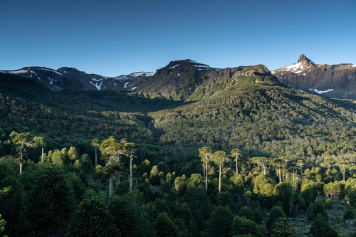 Una Reserva Natural Privada En Venta 