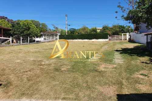 Imagem 9 de 24 de Chacara - Ch00393 - 70923355