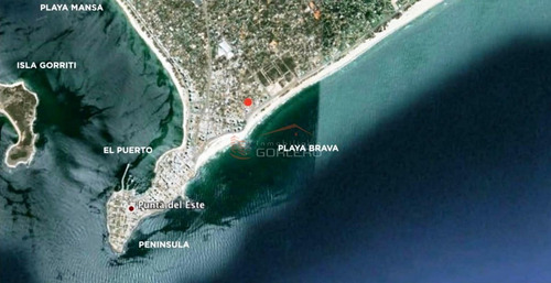 Imagen 9 de 24 de Apartamento En Venta - Punta Del Este, Zona Playa Brava