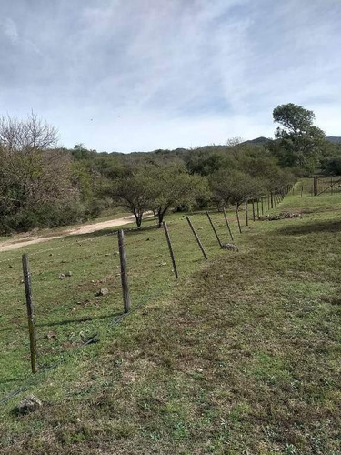 Imagen 12 de 29 de Venta Campo Falda Del Cañete-8,5 Has- Con Vista
