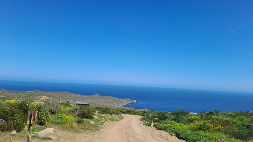 Parcela De 5006 Mt2 En Arrayán Costero, La Serena
