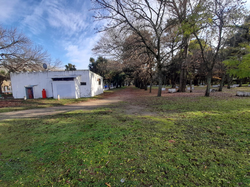 Venta De Camping - Ruta 226