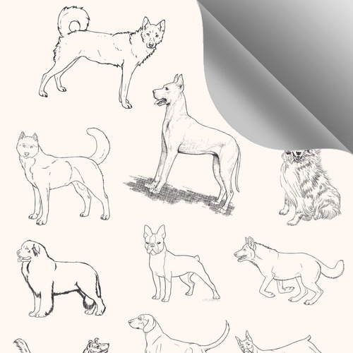 Papel De Parede Autocolante De Petshop Cães Dog Desenho 1m