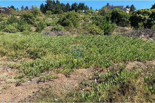Terreno 1.500m² Alta Plusvalía En Reñaca Los Pinos
