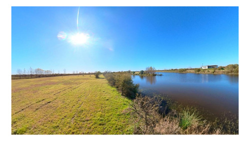 Imagen 6 de 27 de Casa Conteiner A Estrenar De 3 Ambientes Sobre Lote De 3.110 M2 Con 69 Mts De Costa Al Lago