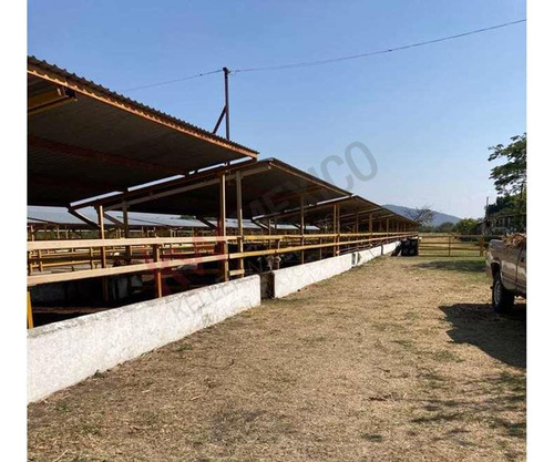 Venta De Increíble Rancho Al Mejor Precio En Tetecala, Morelos,ideal Para Inversionistas Y Ganad...