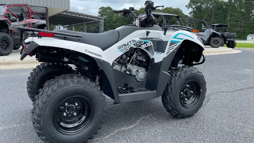Imagen 3 de 15 de Kawasaki Brute Force 300 4x2