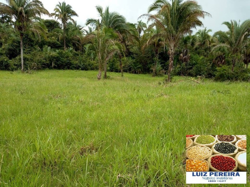 Imagem 11 de 15 de Fazenda À Venda No Vale Do Araguaia - To - De 22 Alqueirões (dupla Aptidão) - 1651
