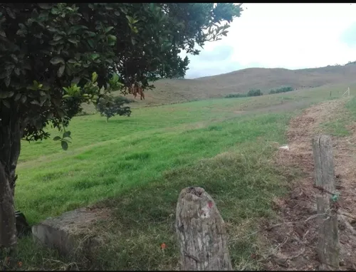 Vendo Finca Ganadera En Restrepo Valle