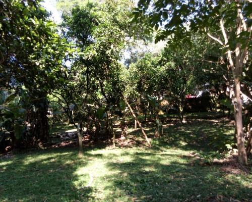 Chácara 3.200 M² - Palermo - Gravataí - Rs - 1597 - 32420118