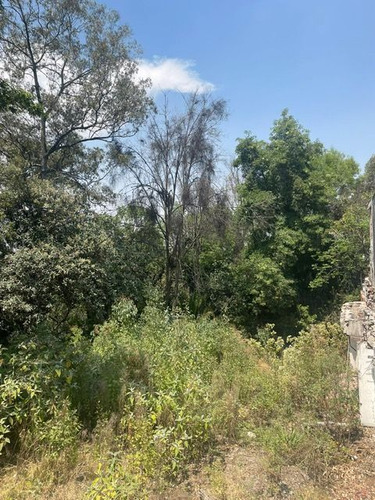 Terreno En Venta En Constituyentes: Lomas Altas