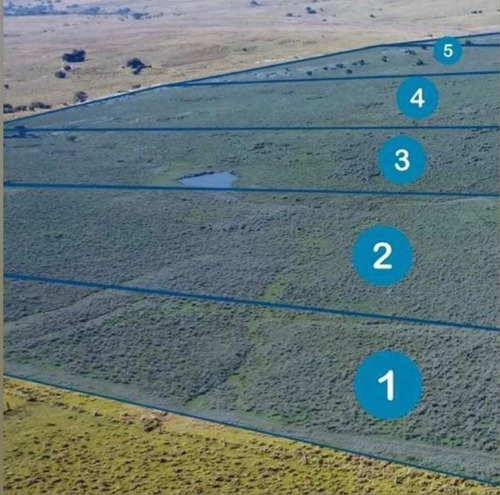 Imagen 6 de 6 de Venta Chacra Campo 142 Hectareas Vista Sierra Minas Lavalleja