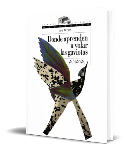 DONDE APRENDEN A VOLAR LAS GAVIOTAS, de ANA ALCOLEA. Editorial ANAYA, tapa dura en español, 2007