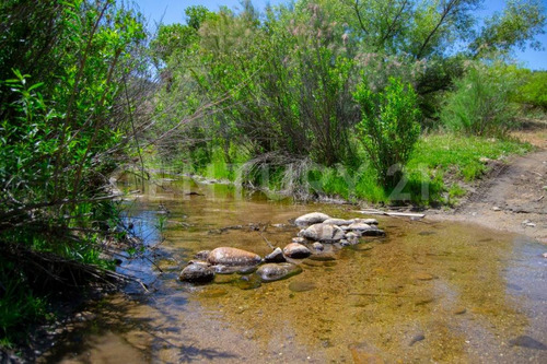 Rancho A La Venta Para Ganadería Y/o Turismo De Eco-aventura, Tecate B.c.