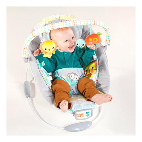 Bright Starts Comfy Baby Bouncer Soothing Vibrations Infant