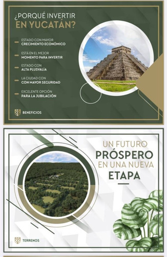 Imagen 10 de 27 de Lotes Residenciales A 15 Min De Merida Y Cerca De La Playa Chicxulub Yucatan.