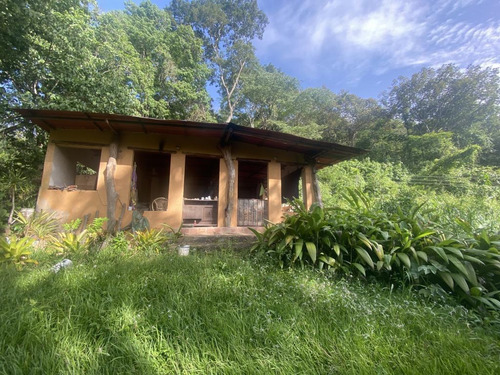 Finca De 35500 Mts Dentro Del Solar En Venta, Guataparo