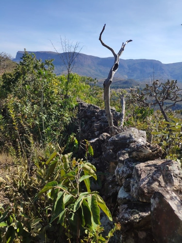 Imagem 10 de 15 de Área Rural Serra Da Canastra