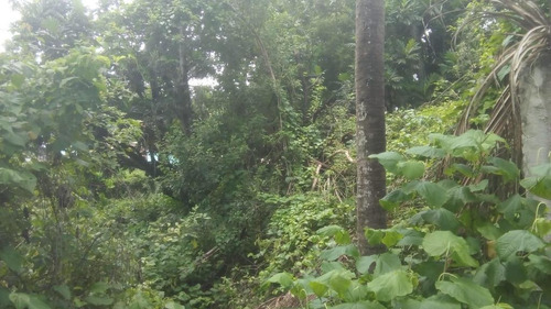 Imagem 13 de 14 de Terreno Para Locação Em Nova Descoberta Com 2200 M² Por R$ 13.000/mês - Nova Descoberta - Recife/pe - Te0051