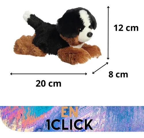 28KB 2001 null null null null null null null 1 2003 null Je 835pDrpPs4M