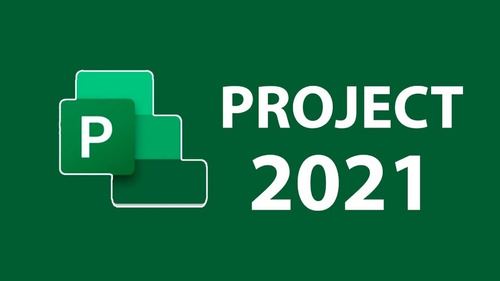 Imagen 1 de 1 de Project Profesional 2021
