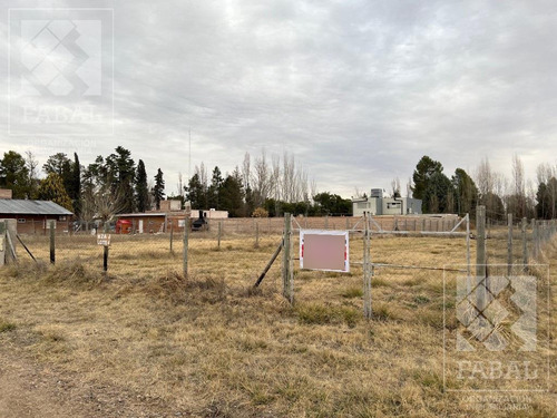 Terreno Venta Los Castaños, Plottier, De 600 M2 En Barrio Abierto