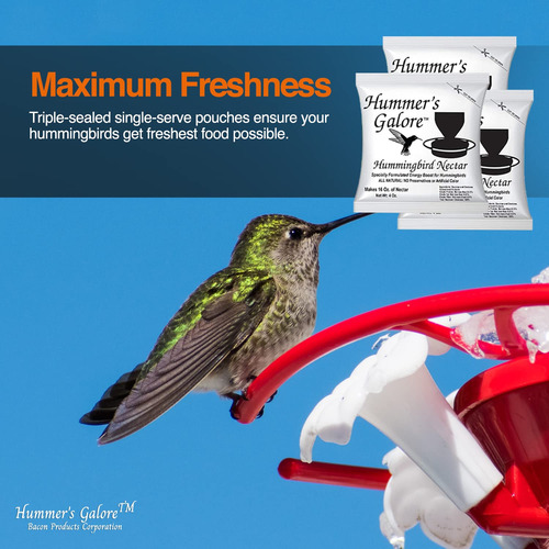 Alimento Para Colibríes Néctar Listo 192 Onzas Paquete 3