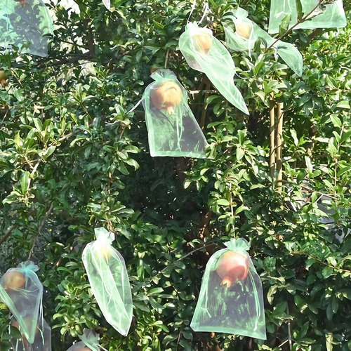 P 100 Bolsas Protectoras De Frutas, Bolsas De Malla Para