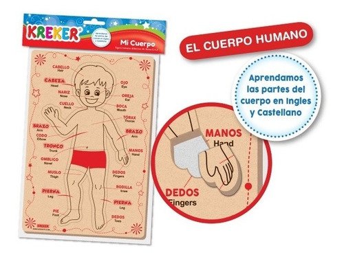 Cuerpo Humano Encastre Goma Eva Anatomia Rompecabezas Puzzle