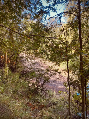 Imagen 2 de 13 de Fida Patagonia. Lote En Venta De 1293m2 Ubicado En San Martin De Los Andes