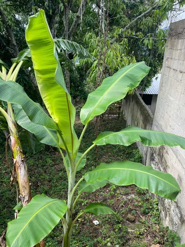 Casa En Obra Negra Con Cuartos Y Terreno Disponible