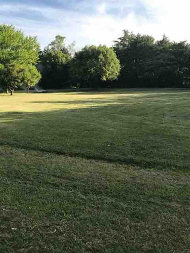 Terreno En Venta En Vicente Melazzi
