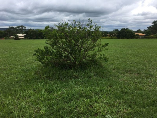 Imagem 6 de 9 de Lote / Terreno À Venda - Palmas Del Rey, Arealva-sp - 3849