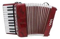 Comprar Acordeon Sanfona Gaita Infantil 8 Baixos 22 Teclas Musica