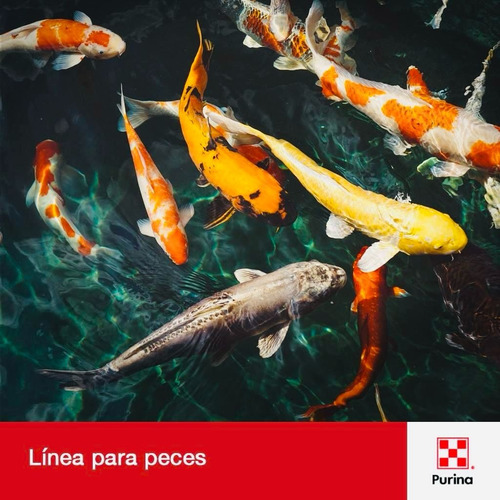 Alimento P/peces (varios) Tortugas, Nutripec Purina 25 Kilos
