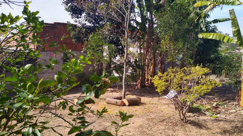 Sobrado Primavera Interlagos 3 Quartos Com Área Verde Jardim
