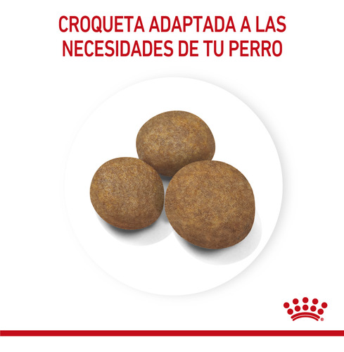 Royal Canin Maxi Puppy Para Perros X 15kg - Oferta Wankun