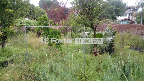 Imagem 2 de 7 de Terreno, 359.2 M², Vila Jardim - 200255