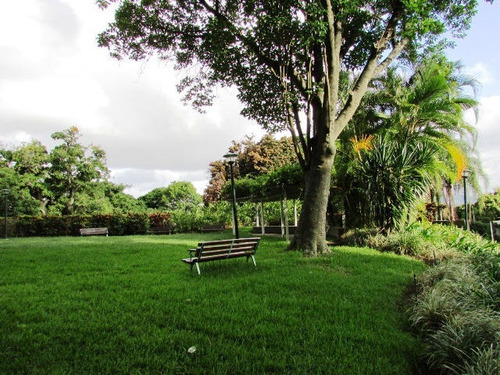 Apartamento En Alquiler Angelica Guzman Mls #20-15220 Ag