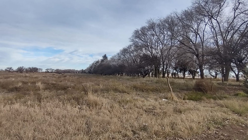 Terreno En Av. San Martín Y Alvear - Ataliva Roca