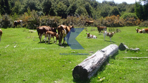 Lindo Terreno Con Estero En Venta En Futalefu