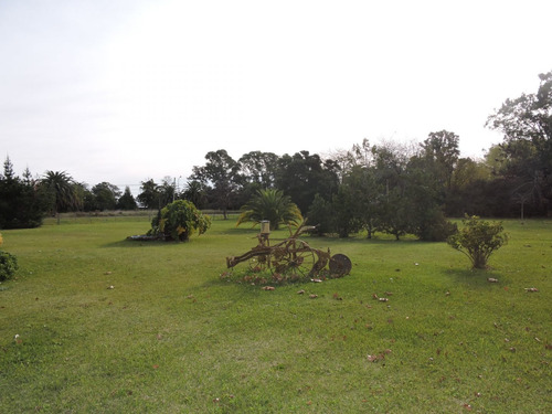 Imagen 4 de 17 de 3,6 Ha Casa Quinta En Veronica Con Galpon Y Local Comercial