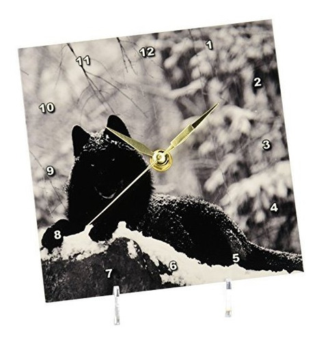 3drose Dc 100280 1 Rocky Mountain Wolf, Reloj De Escritorio 