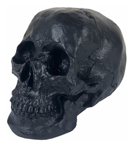 Crânio Caveira Tamanho Real Preto Black Skull Decorativo