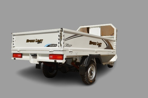 Imagen 19 de 25 de Triciclo De Trabajo 300cc Scooter Cargo Ideal Trabajo Gaf