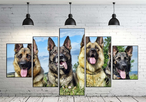 Cuadro Decorativo Perros Pastor Aleman Belga Animal 60x100cm