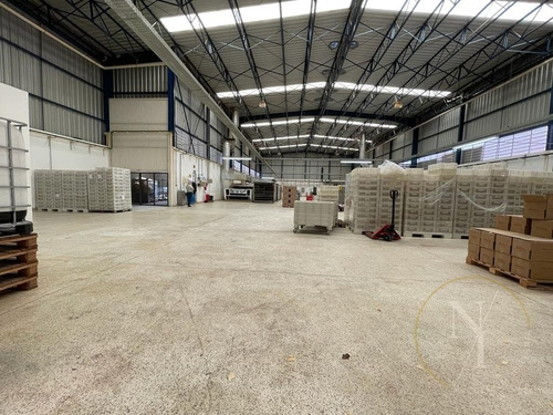 Imagem 14 de 15 de Excelente Galpão - 1400m² - Ramo Alimentício - Vila Lucia - São Paulo - 6726