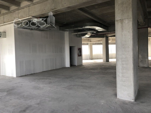 Imagen 4 de 19 de Renta - Oficina - Insurgentes Sur - 720 M2 - Piso 1