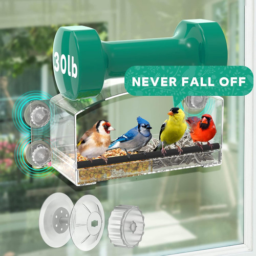 Window Bird Feeder Window Bird Feeders With Strong Suction C