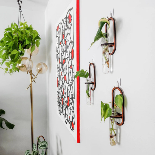 Jarrón De Pared Para Cultivo, Tubo De Ensayo, 2 Unidades, Pa